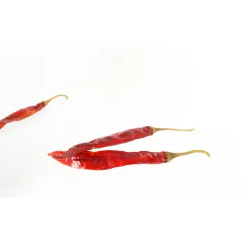 Common Dry Red Chilli